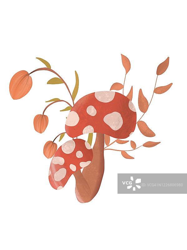蘑菇扁平艺术图片素材