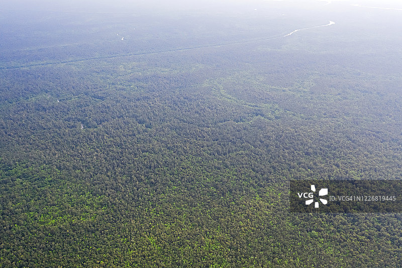 孙德尔本斯——世界上最大的红树林图片素材