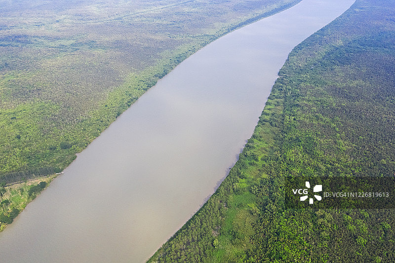 孙德尔本斯——世界上最大的红树林图片素材