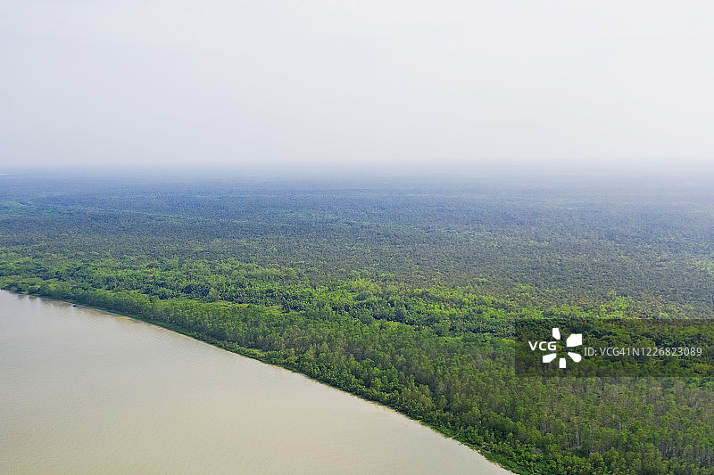 孙德尔本斯——世界上最大的红树林图片素材