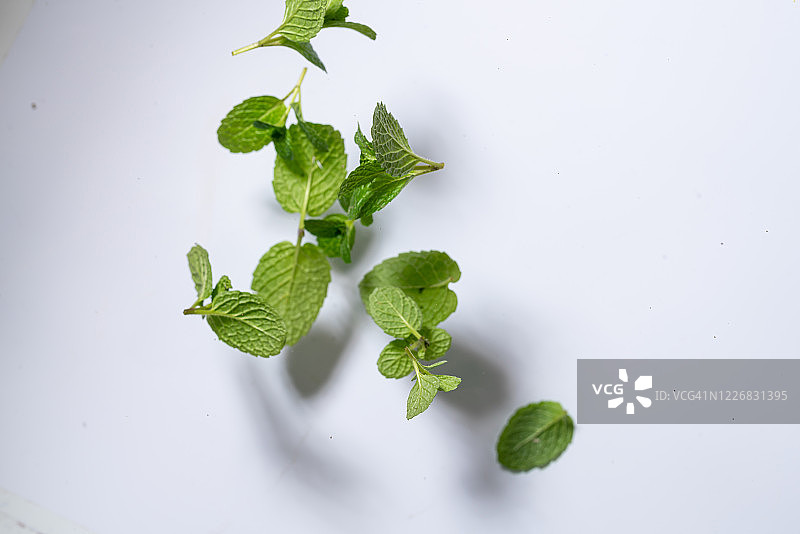 白色背景下的高速飞行薄荷叶图片素材