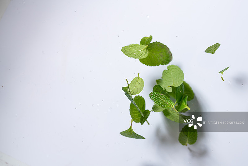 白色背景下的高速飞行薄荷叶图片素材