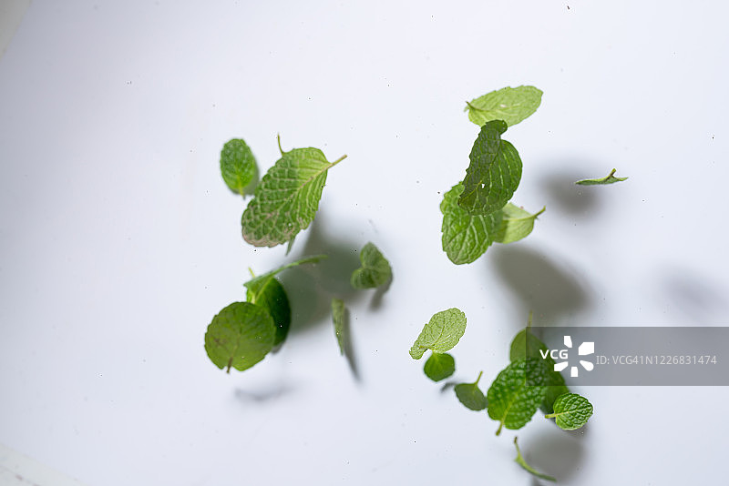 白色背景下的高速飞行薄荷叶图片素材