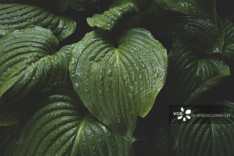 自然背景图片素材