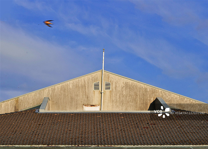 废弃的海滩建筑图片素材