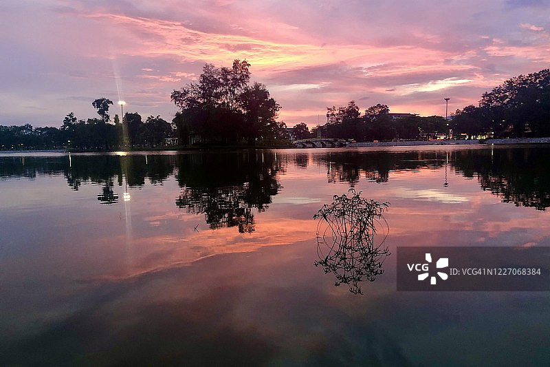 尖竹汶达信玛哈拉公园黎明时湖边的一组椰子树图片素材