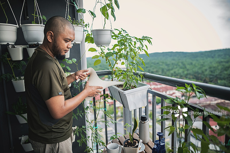 阳台上的家庭园艺图片素材
