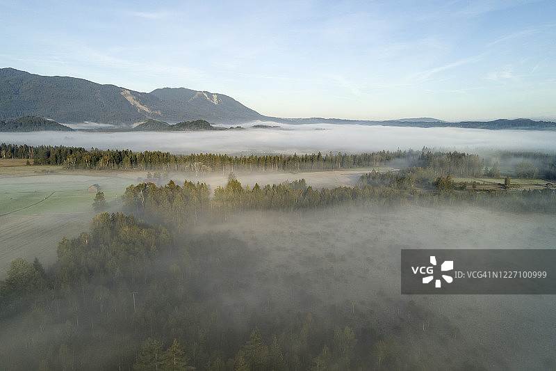 日出时有树木和雾气的景观航拍图片素材