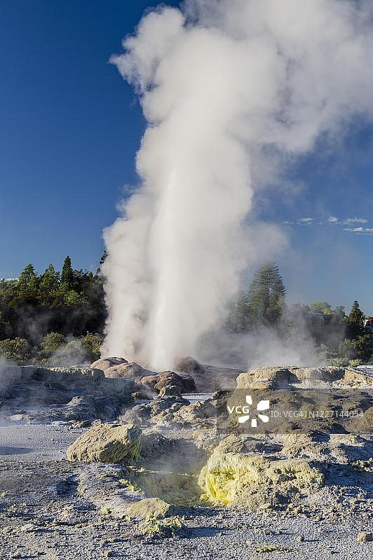 怀卡雷瓦雷瓦地热保护区内爆发的波胡图间歇泉和烧结阶地，新西兰丰盛湾罗托鲁瓦图片素材