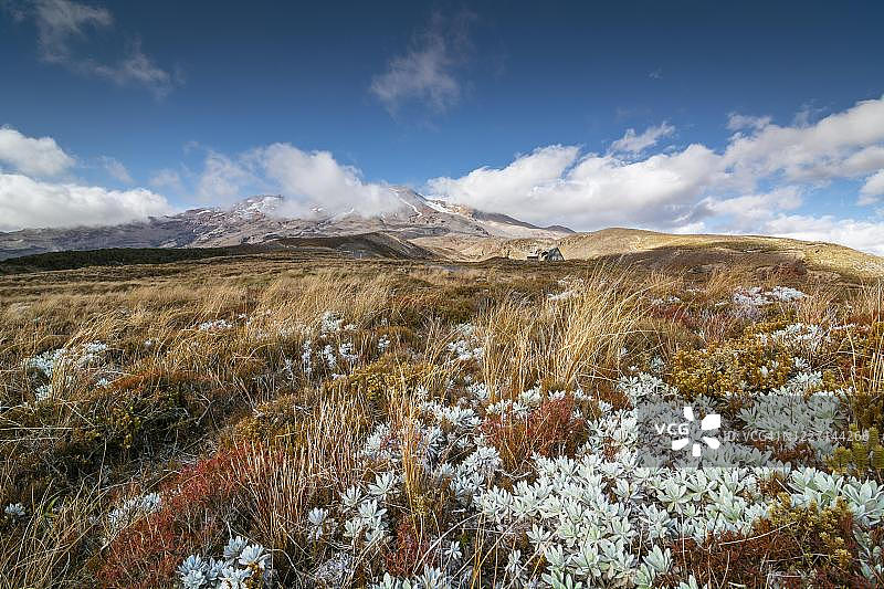 新西兰北岛汤加里罗国家公园瑙鲁赫伊火山图片素材