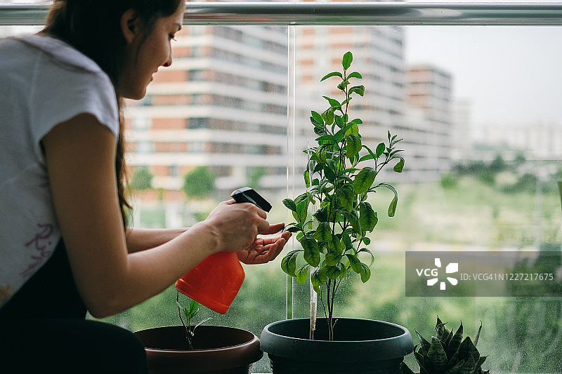居家园艺图片素材