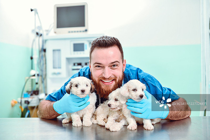 微笑的兽医和诊所里可爱的小狗图片素材