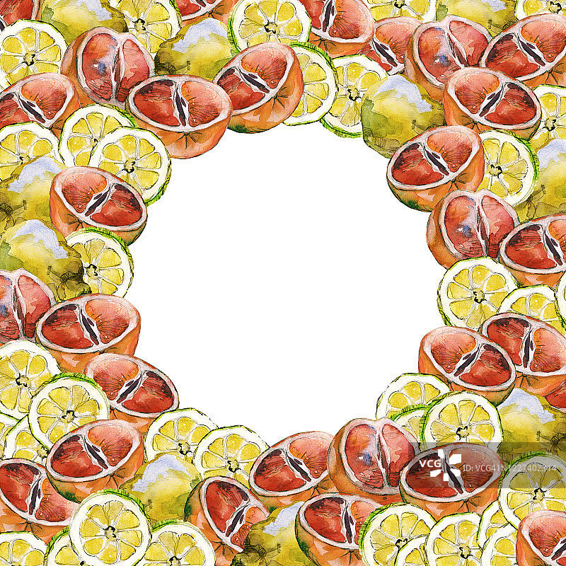 方形边框，圆形复制空间，由半个红宝石葡萄柚和柠檬片制成水彩插图图片素材
