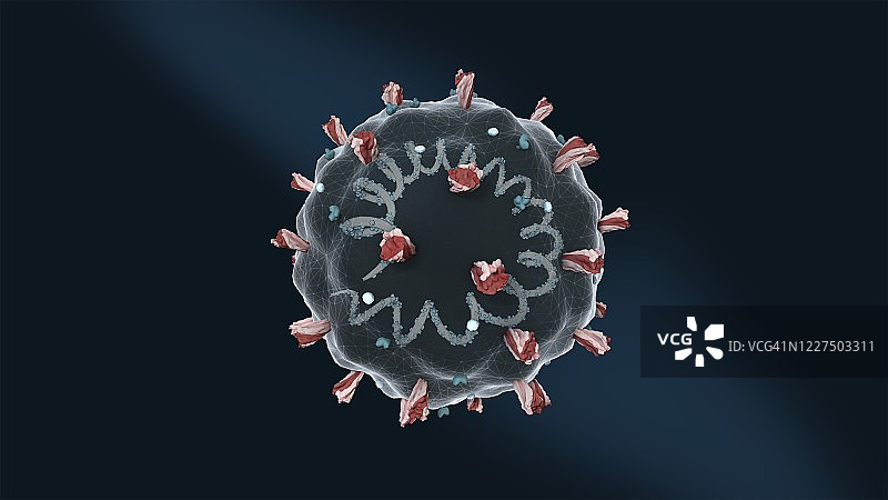 新冠病毒结构3D图图片素材