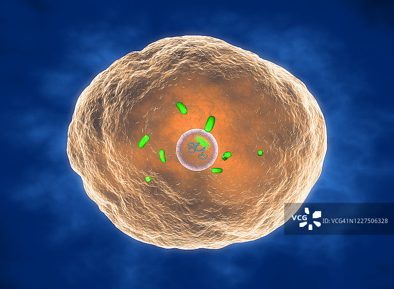 布鲁氏菌图示图片素材