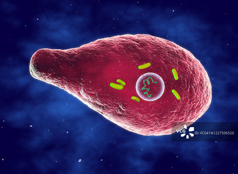 肉毒杆菌插画图片素材