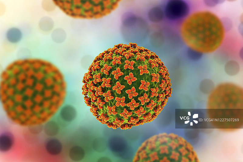 汉坦病毒颗粒，图示图片素材