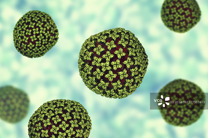 汉坦病毒颗粒，图示图片素材