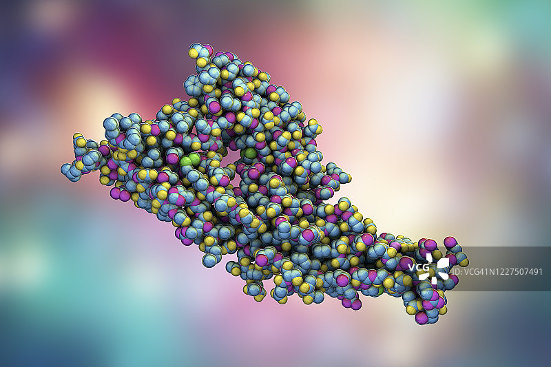 汉坦病毒糖蛋白Gc分子模型图片素材