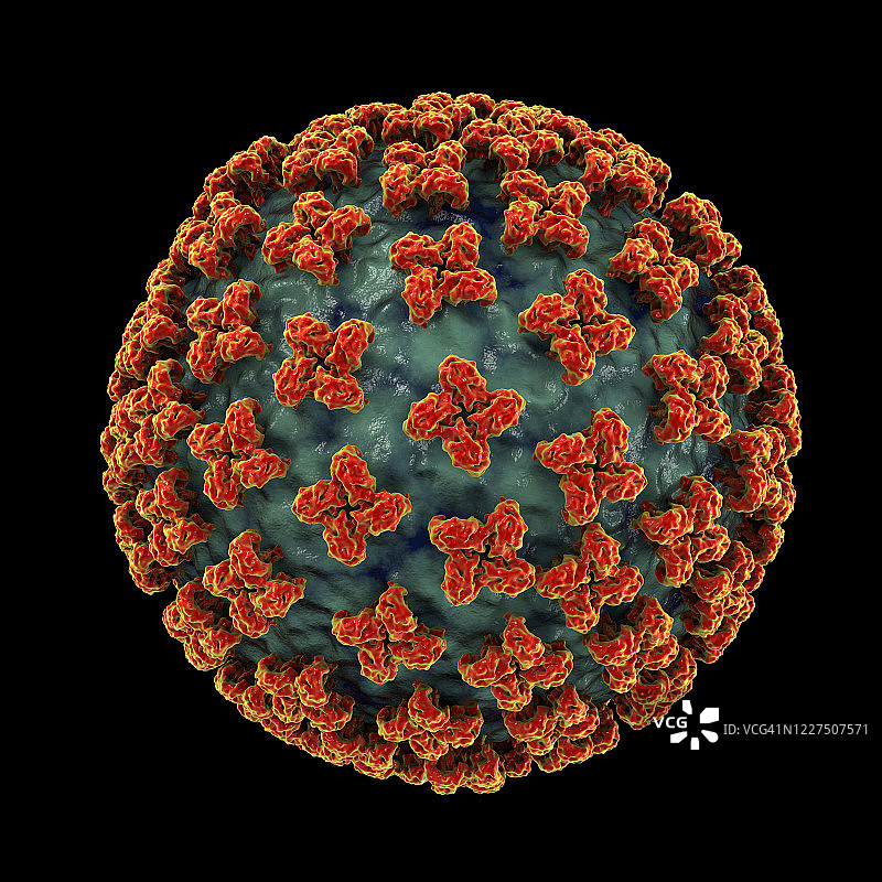 汉坦病毒颗粒，图示图片素材