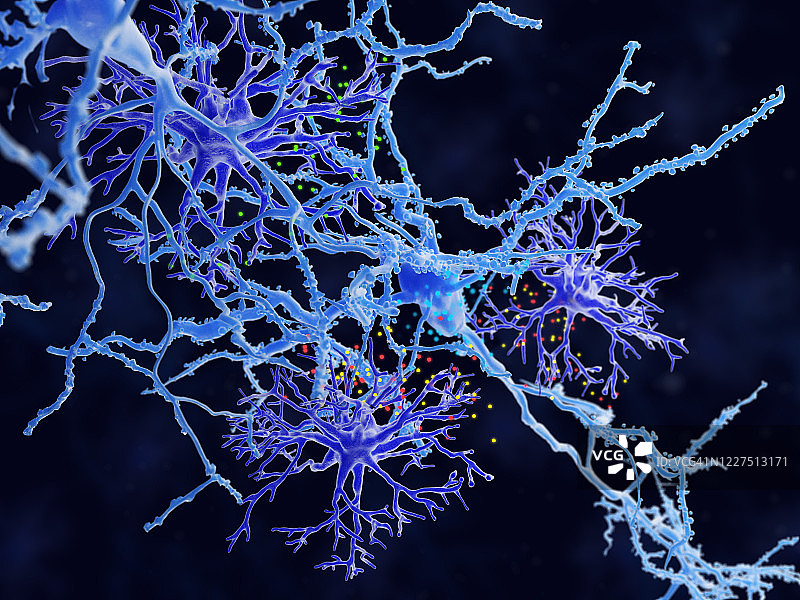 原生质星形胶质细胞，图示图片素材
