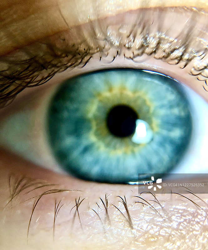 蓝色眼睛的特写图片素材