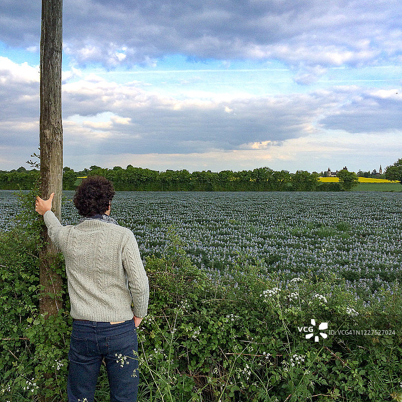 男人站在法国德塞夫勒的羽扇豆田旁图片素材