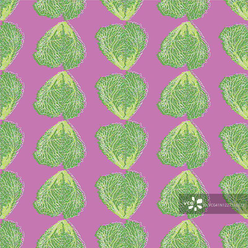手绘罗马生菜无缝图案图片素材