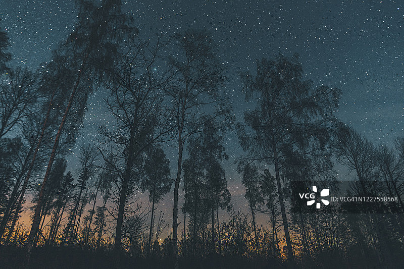 瑞典尼雪平瑟德曼兰树木上的星空图片素材