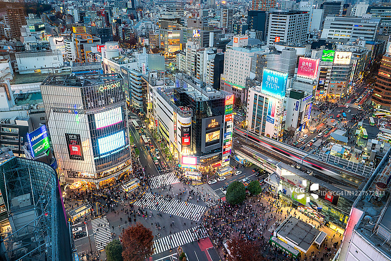 东京涩谷十字路口夜景图片素材