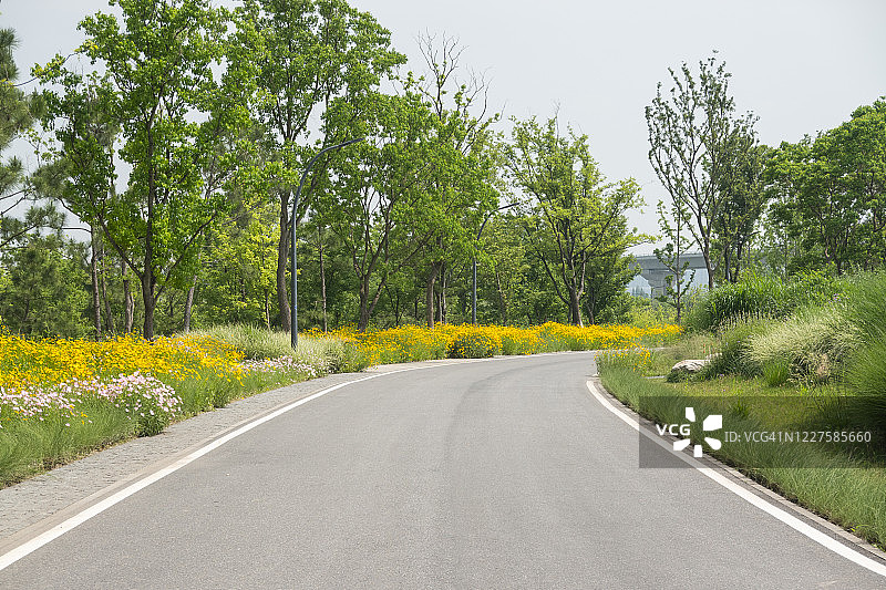 空旷的道路和绿色公园图片素材