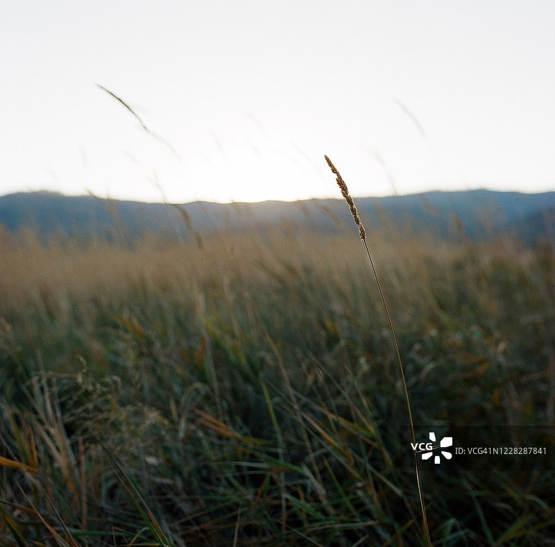 蒙大拿州风光图片素材