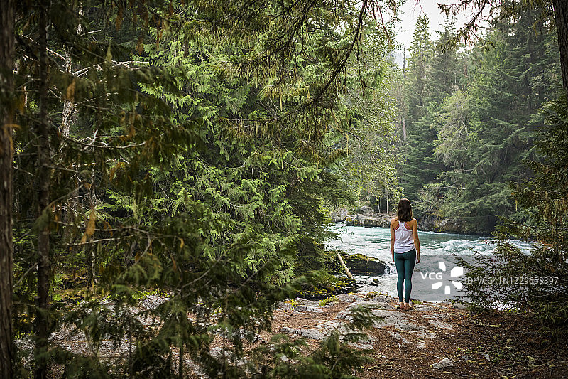 年轻女子在森林中练习瑜伽和冥想图片素材