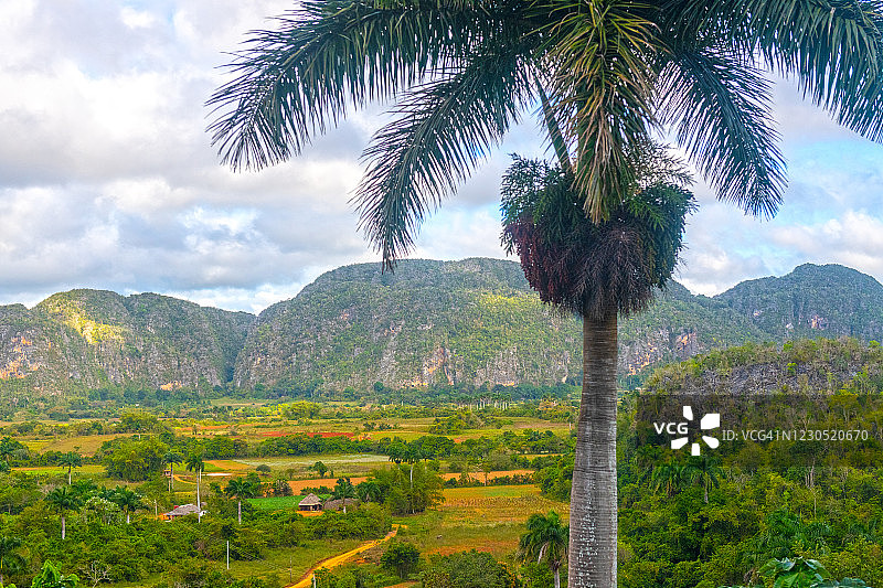 古巴比那尔德里奥省维尼亚莱斯山谷图片素材