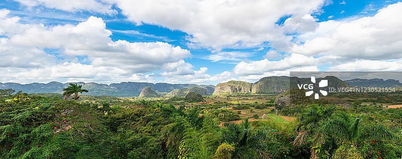 古巴比那尔德里奥省维尼亚莱斯山谷图片素材