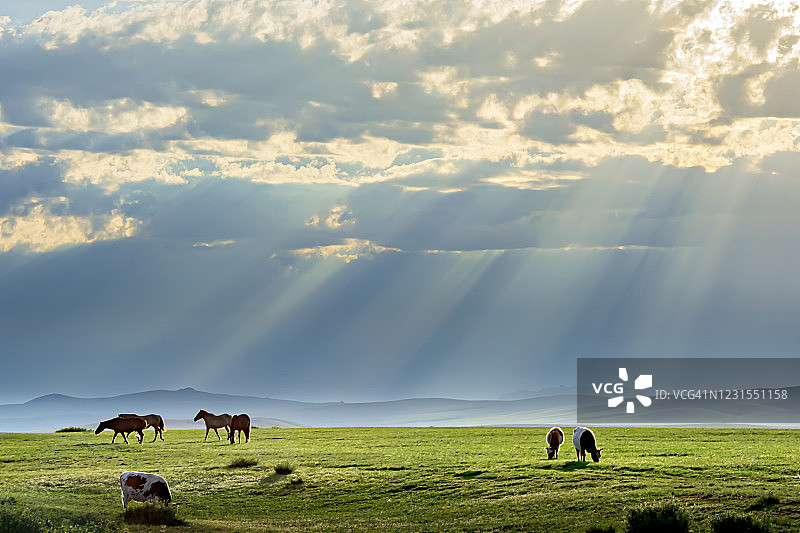 蒙古草原风光图片素材