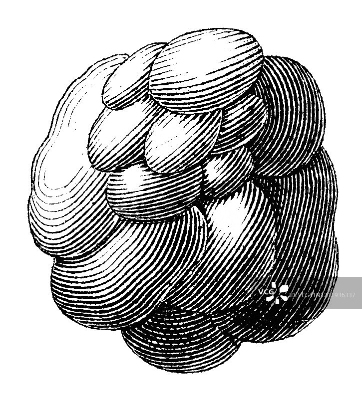 各种冰雹的古董插画图片素材