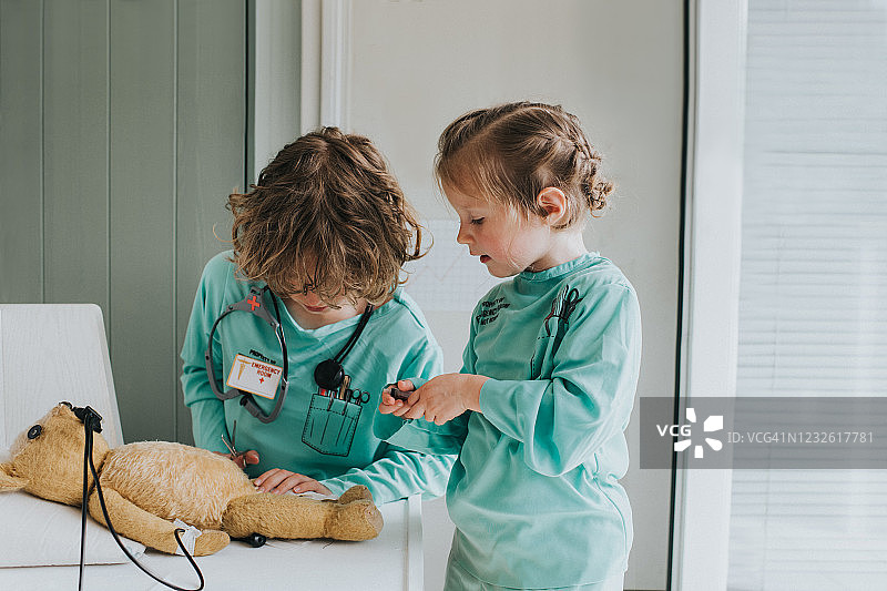 泰迪做手术图片素材