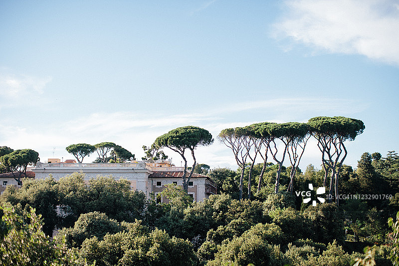 高大树木中的美丽古建筑图片素材