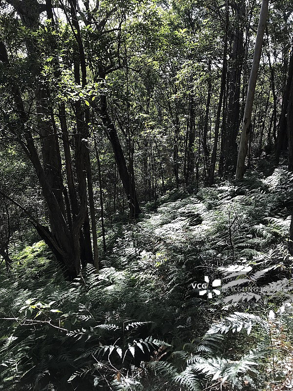 比尔瓦山图片素材