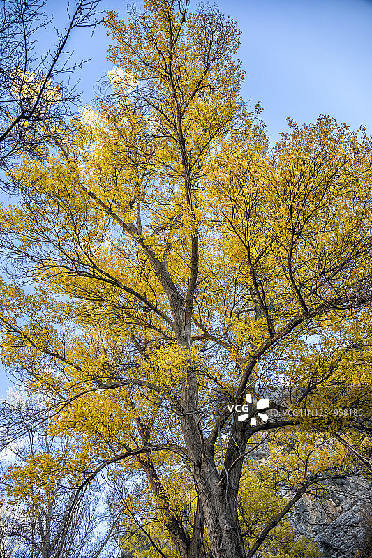 瓜达拉维亚尔自然步道图片素材