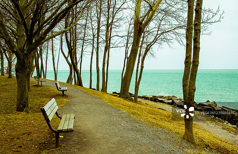 安大略湖畔树下空长椅的宁静画面图片素材