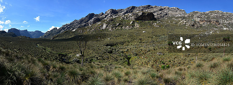 布加塔营地附近的烧毁区域，阳光下的高海拔沼泽图片素材