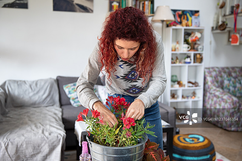 年轻女子专注于光线明亮的室内园艺图片素材