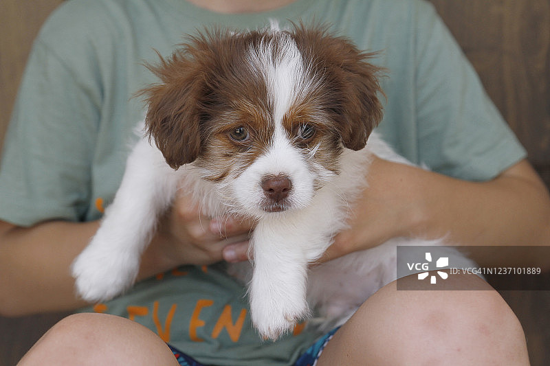 男孩拥抱小狗图片素材