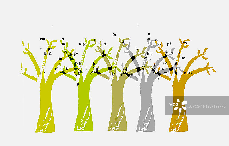 五棵有着彩色树干的树图片素材