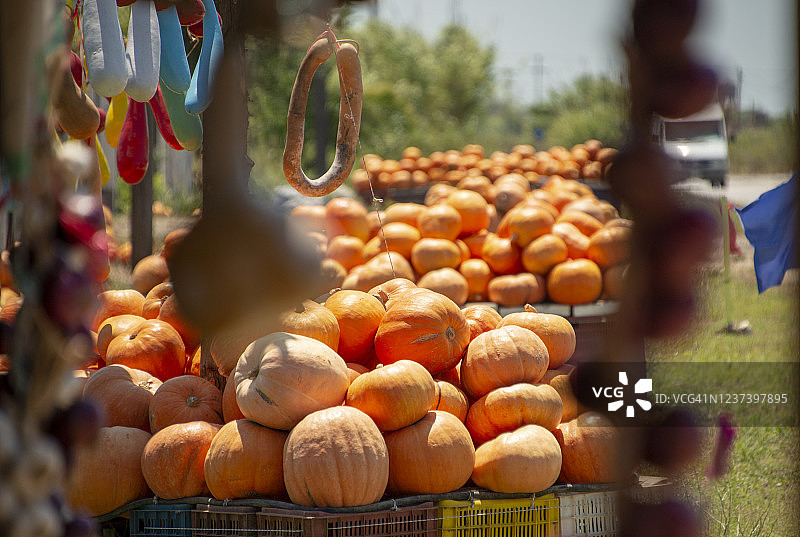 农贸市场上出售的彩色南瓜图片素材