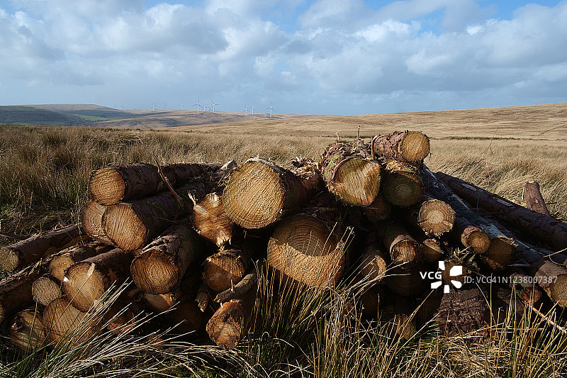 山中的叠放木材图片素材