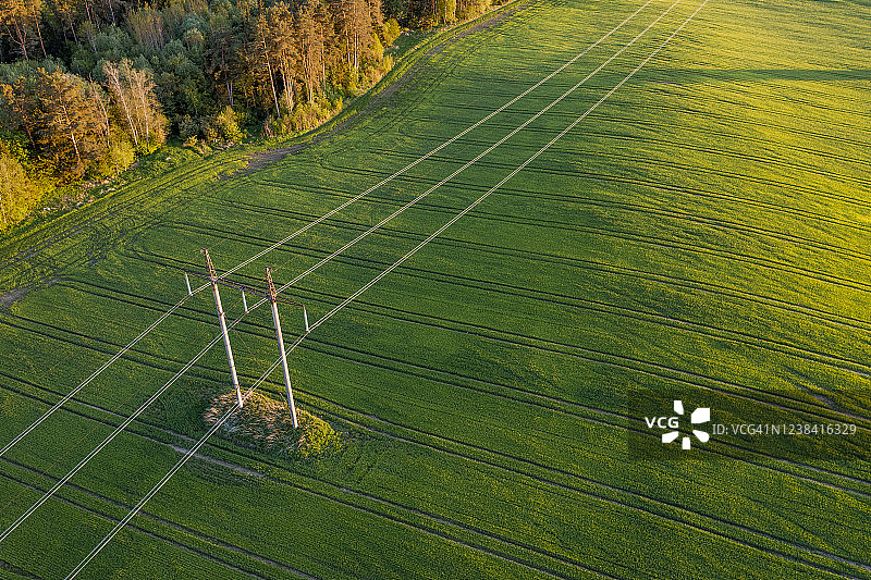 拖拉机车辙和电线杆下的绿色农田图片素材