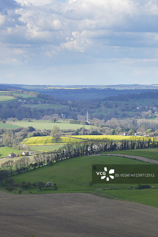 英国南部多塞特郡的丘陵图片素材